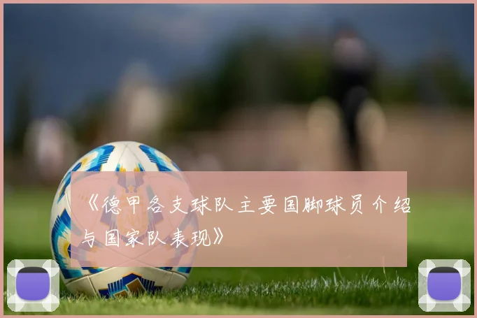 《德甲各支球队主要国脚球员介绍与国家队表现》