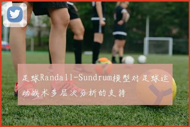 足球Randall-Sundrum模型对足球运动战术多层次分析的支持