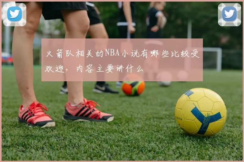 火箭队相关的NBA小说有哪些比较受欢迎，内容主要讲什么